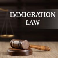 ImmigrationLaw2-e1717174407929[1]
